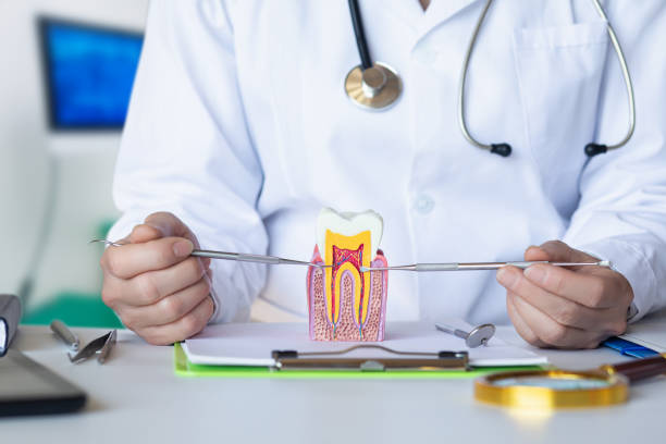 Best Emergency Tooth Extraction  in Mazon, IL